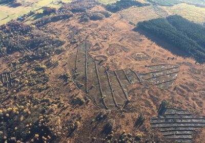 Montgolfière Ferme des Grands Trix